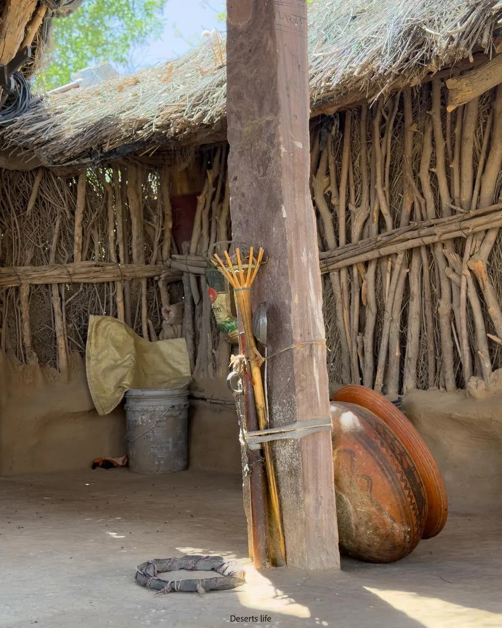 Deserts Life Journey - village-elder